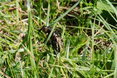 2015 09 13T12 23 13 IMG 1322