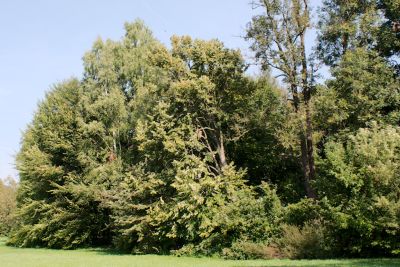 2015 09 13T12 24 15 IMG 1324