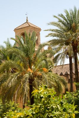 2015 08 05T14 52 17 IMG 0568