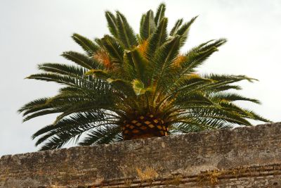 2015 08 08T18 23 06 IMG 0682