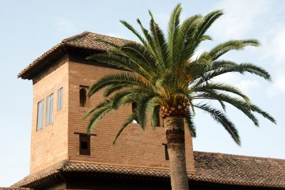 2015 08 08T19 24 29 IMG 0785