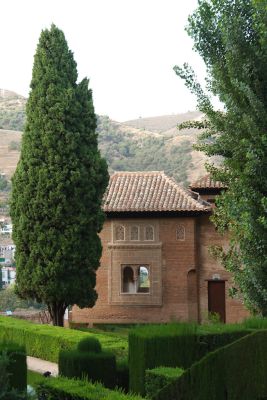 2015 08 08T19 26 57 IMG 0788