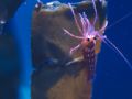 2015 08 10T16 24 00 IMG 0919