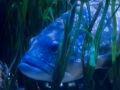 2015 08 10T16 26 23 IMG 0921