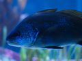 2015 08 10T16 27 02 IMG 0924