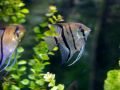 2015 08 10T16 40 16 IMG 0942