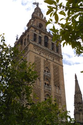 2015 08 12T14 31 23 IMG 1526