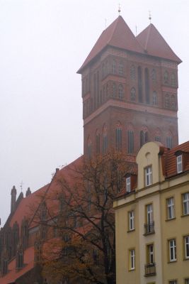 2014 11 09T11 06 45 IMG 0132