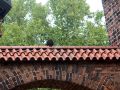2013 08 13T11 17 53 IMG 7350