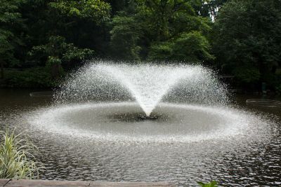 2013 08 13T11 53 28 IMG 7375