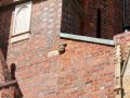 2013 08 13T13 14 32 IMG 7406