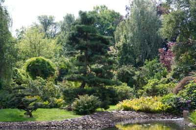 2013 08 14T11 26 46 IMG 7497