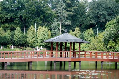 2013 08 14T11 33 30 IMG 7512