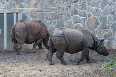 2013 08 14T13 05 41 IMG 7542