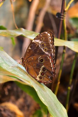 2013 08 14T13 59 55 IMG 7553