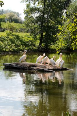 2013 08 14T15 31 28 IMG 7589