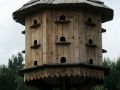 2013 07 16T12 41 32 IMG 6327
