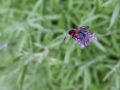 2013 07 17T13 40 15 IMG 6619