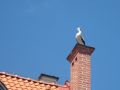 2013 07 18T12 04 19 IMG 6595