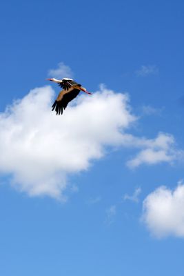 2013 07 18T13 07 11 IMG 6699