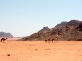 2012 08 01T14 40 31 IMG 4985