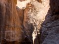 2012 08 02T07 59 14 IMG 5095