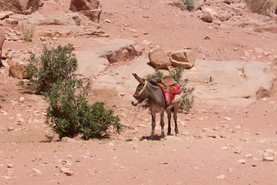 2012 08 02T09 52 54 IMG 5189