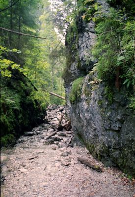 8812053106 81b3797e0c o