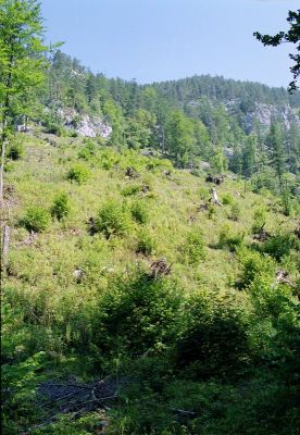 8812057216 10b06b12bb o