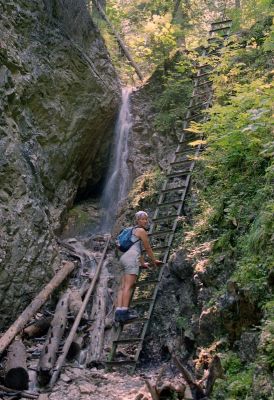 8812060114 22be0fc847 o