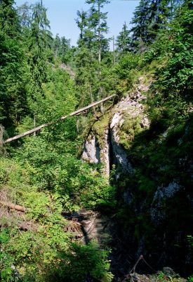 8812062768 2d5665485c o