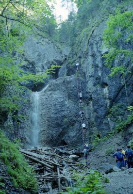 8812073160 63814c0208 o