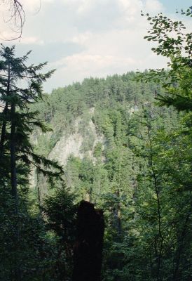 8812078248 d9af2d1c1e o