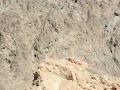 2012 08 01T09 18 30 IMG 4935