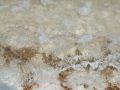 2012 08 05T09 29 56 IMG 5428