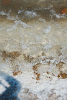 2012 08 05T09 29 56 IMG 5428