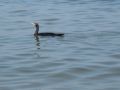 2010 07 12T09 38 39 IMG 3230