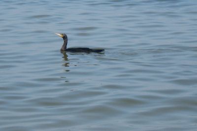 2010 07 12T09 38 39 IMG 3230