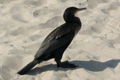 2010 07 16T09 00 47 IMG 3406