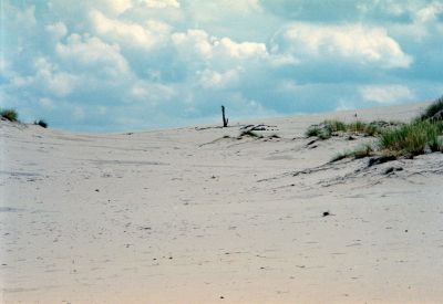 8851297414 a877553747 o