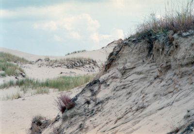 8851297800 6845365ed4 o