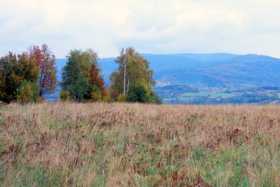 8802624405 27c59b3b95 o