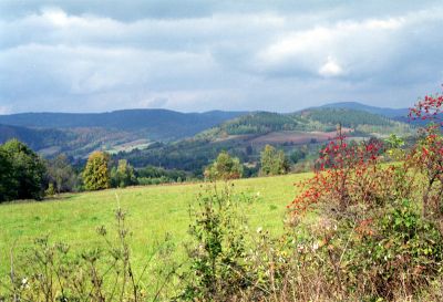 8813207396 b72fa67b83 o