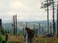widok na pasmo nienika 8802645105 o
