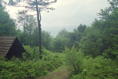 szaas na wtkowej uratowa nas przed burz 8813099774 o