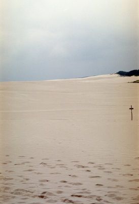 8813026460 1c18b93270 o