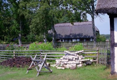 8813035086 343aefdecf o