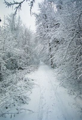 8812869510 dd92682992 o