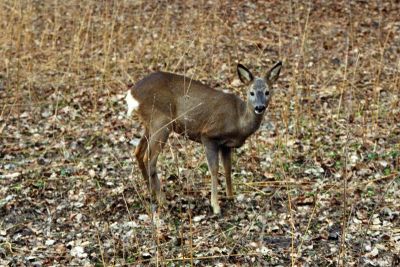 8812880496 036922fcc8 o