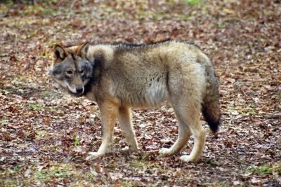 8812884020 fa7c61b21f o